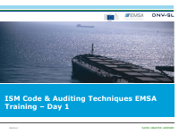 ISM code & Auditing Techniques EMSA.pdf